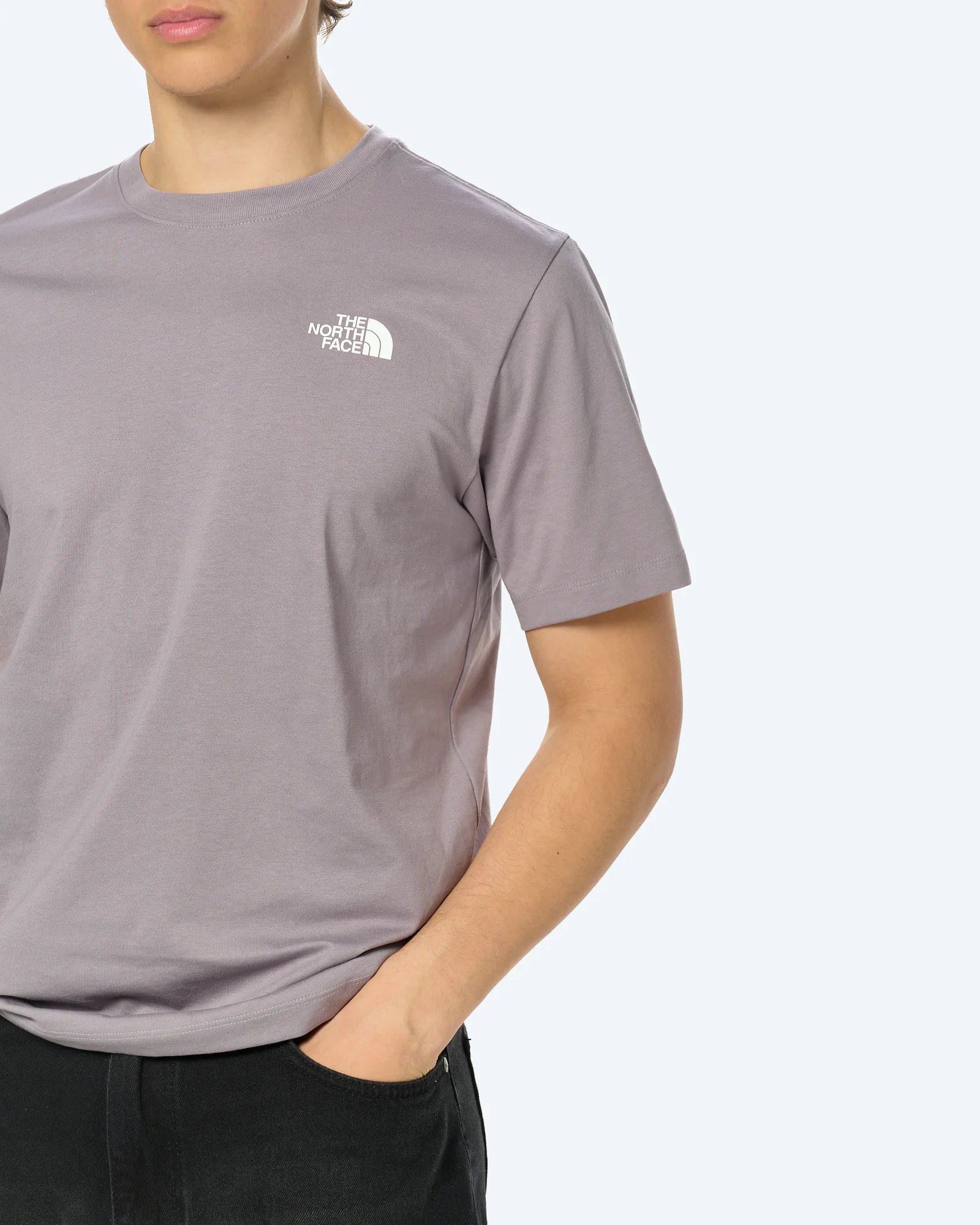 The North Face Box NSE Celebration T-Shirt Transcendent Grey