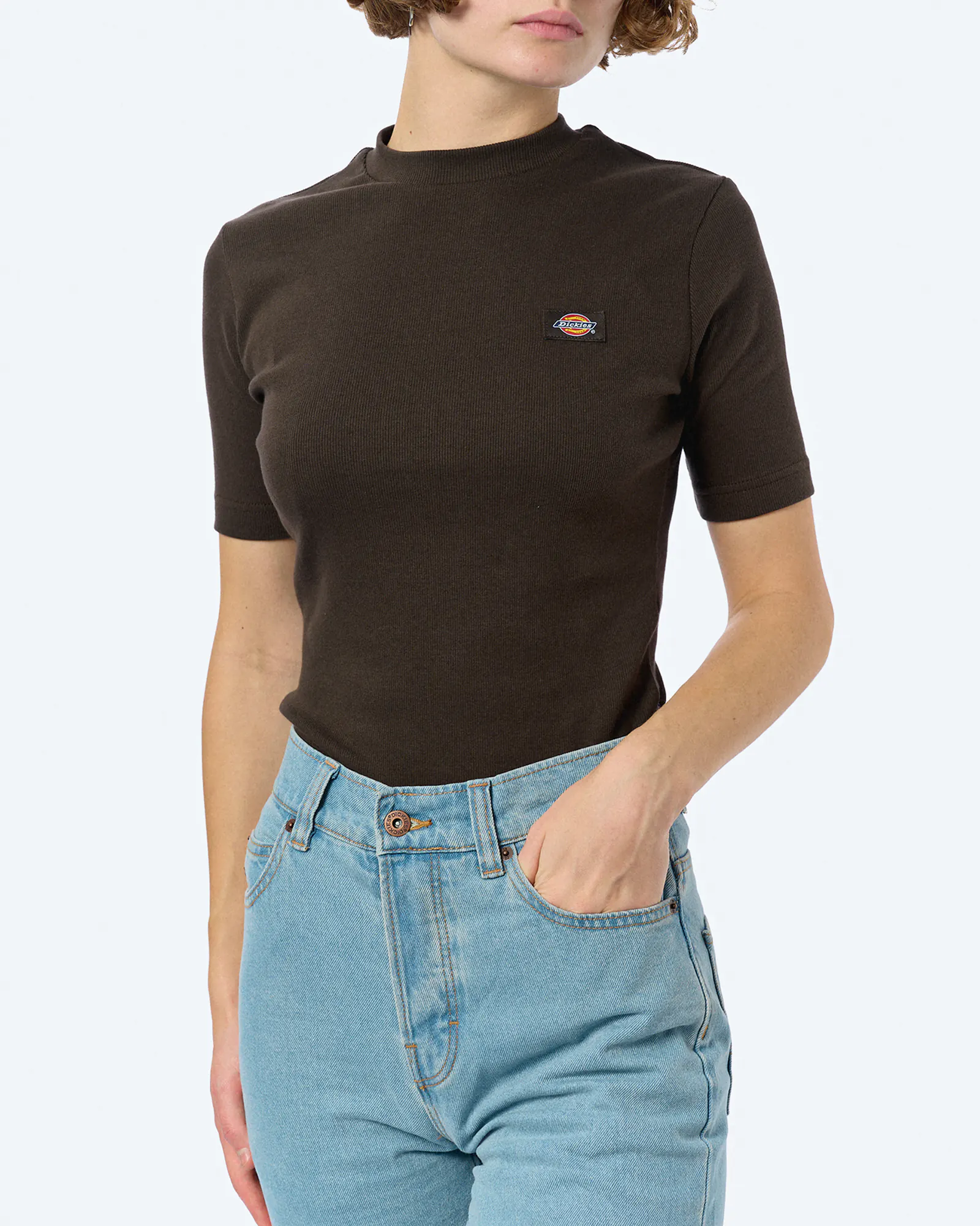 Dickies Marysville T-Shirt Dark Brown Dickies Marysville T-Shirt Dark Brown