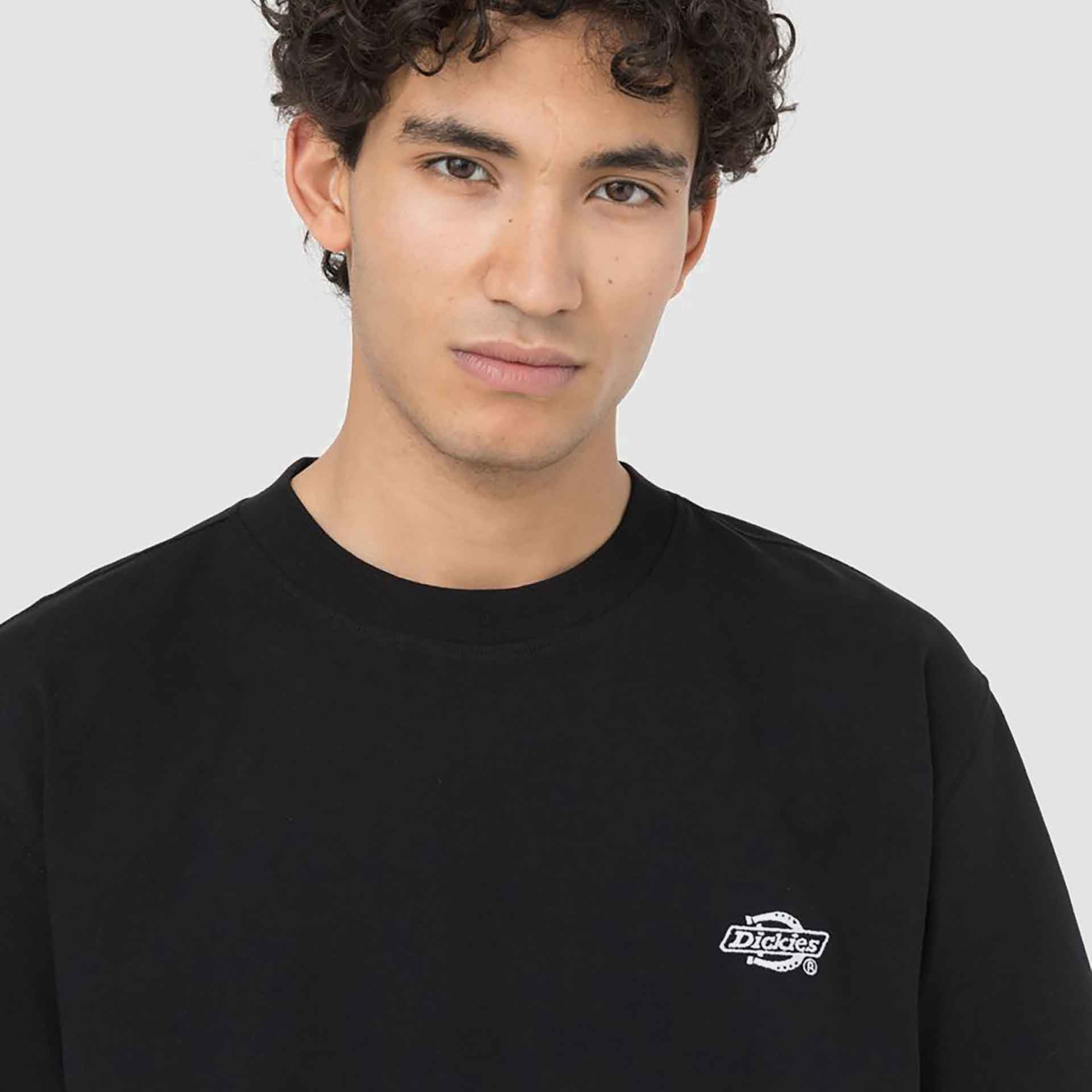 Dickies Summerdale T-Shirt Black