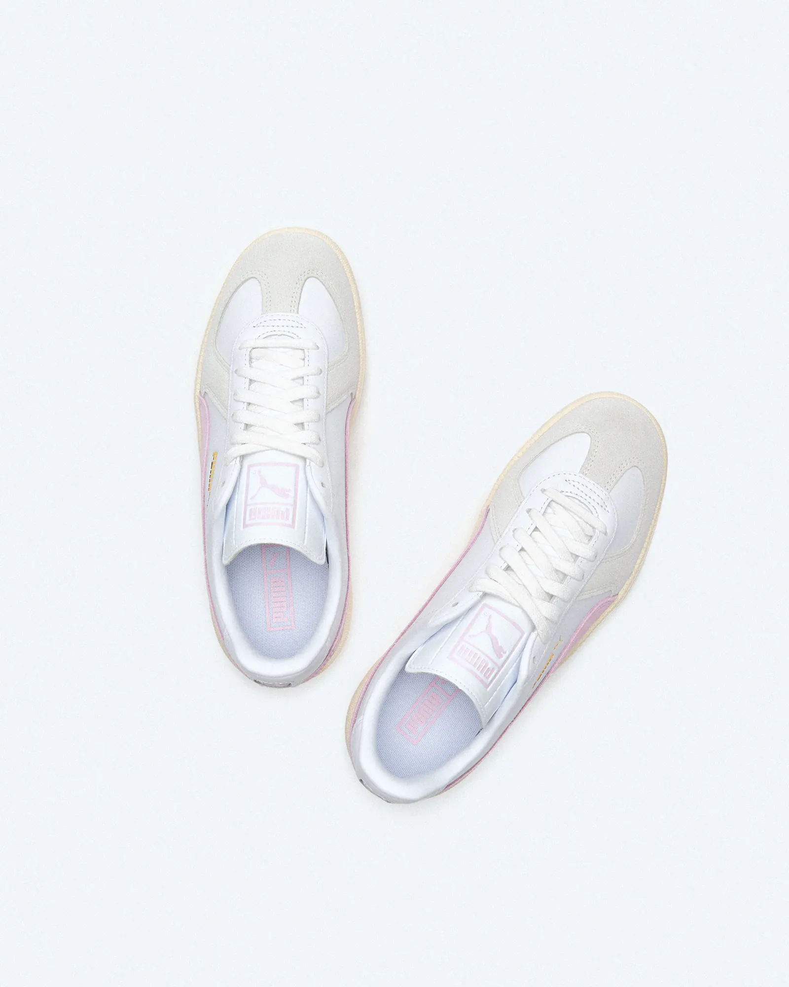 PUMA Army Trainer Sneaker White/Feather Grey PUMA Army Trainer Sneaker White/Feather Grey