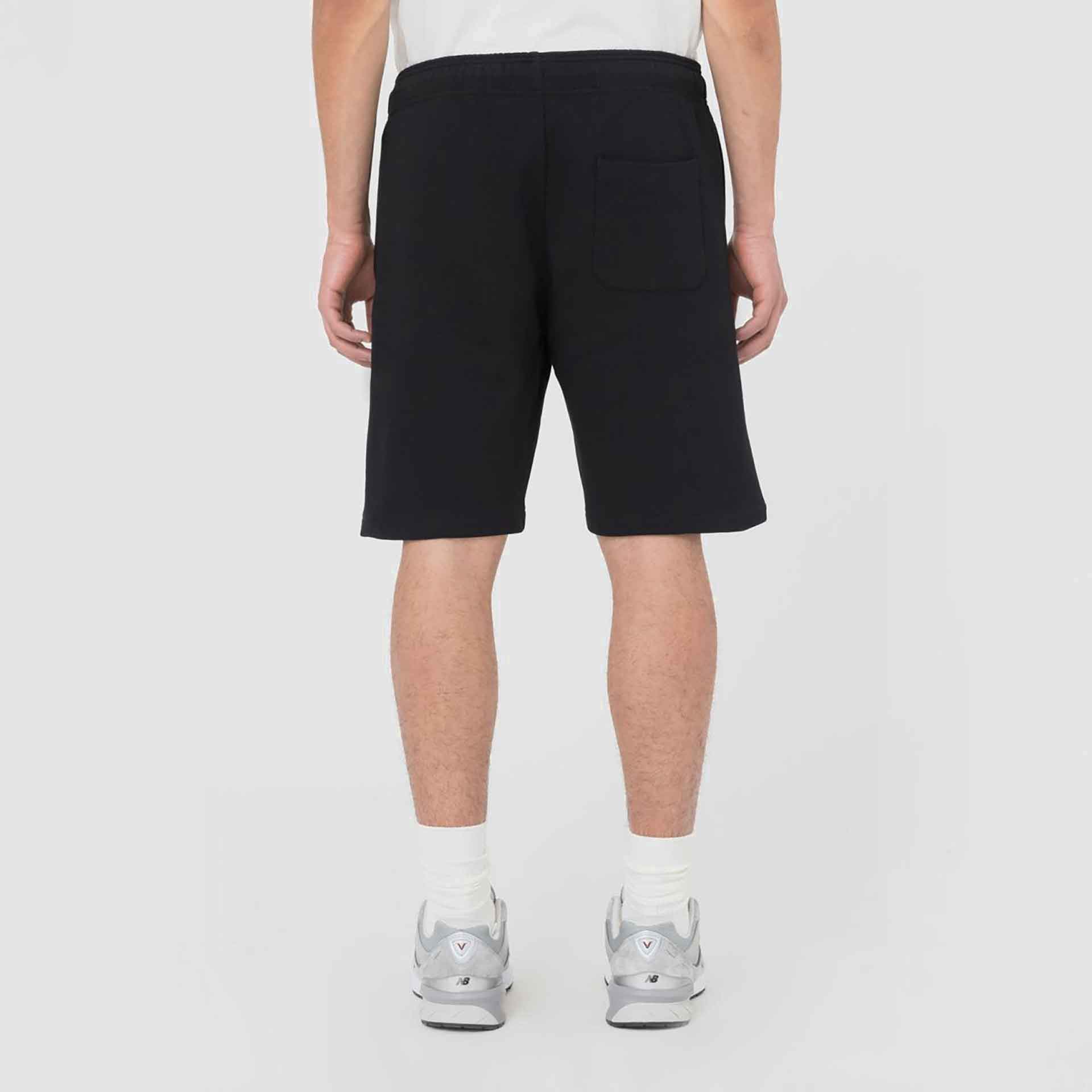 Dickies Mapleton Shorts Black