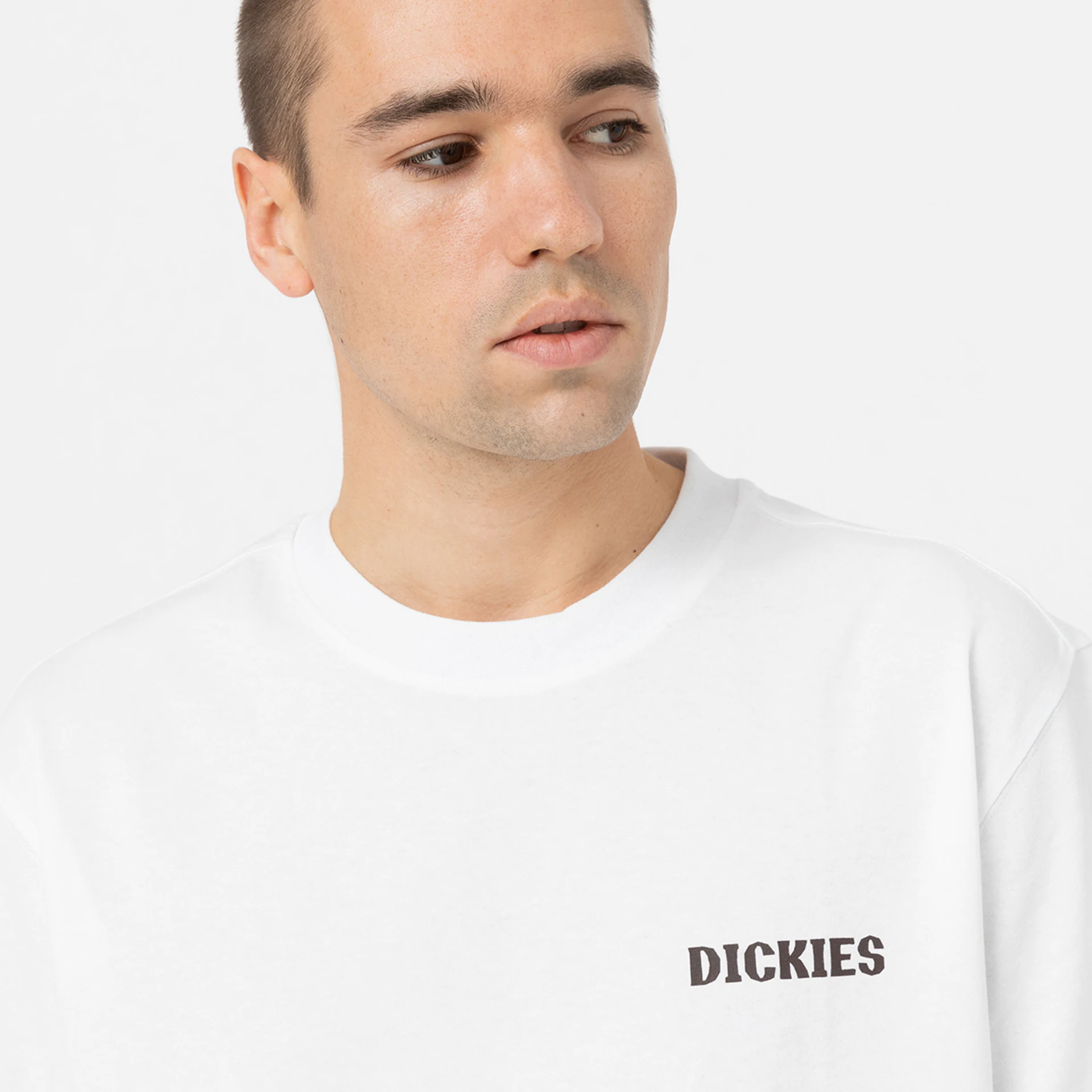 Dickies Hays T-Shirt White