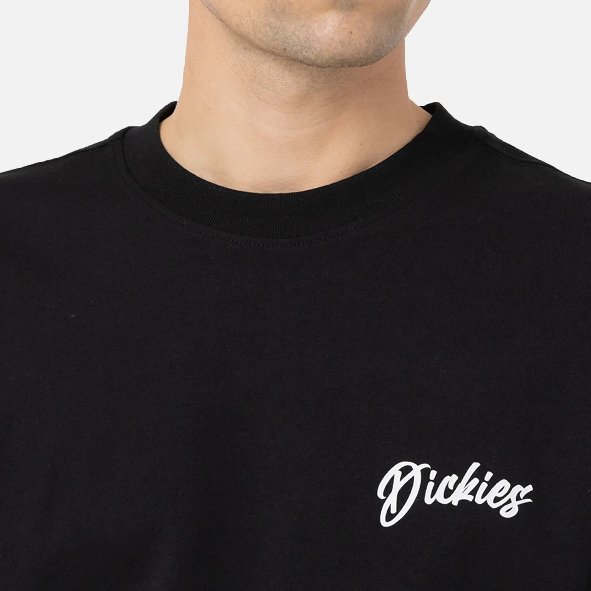 Dickies Dighton Longsleeve T-Shirt Black