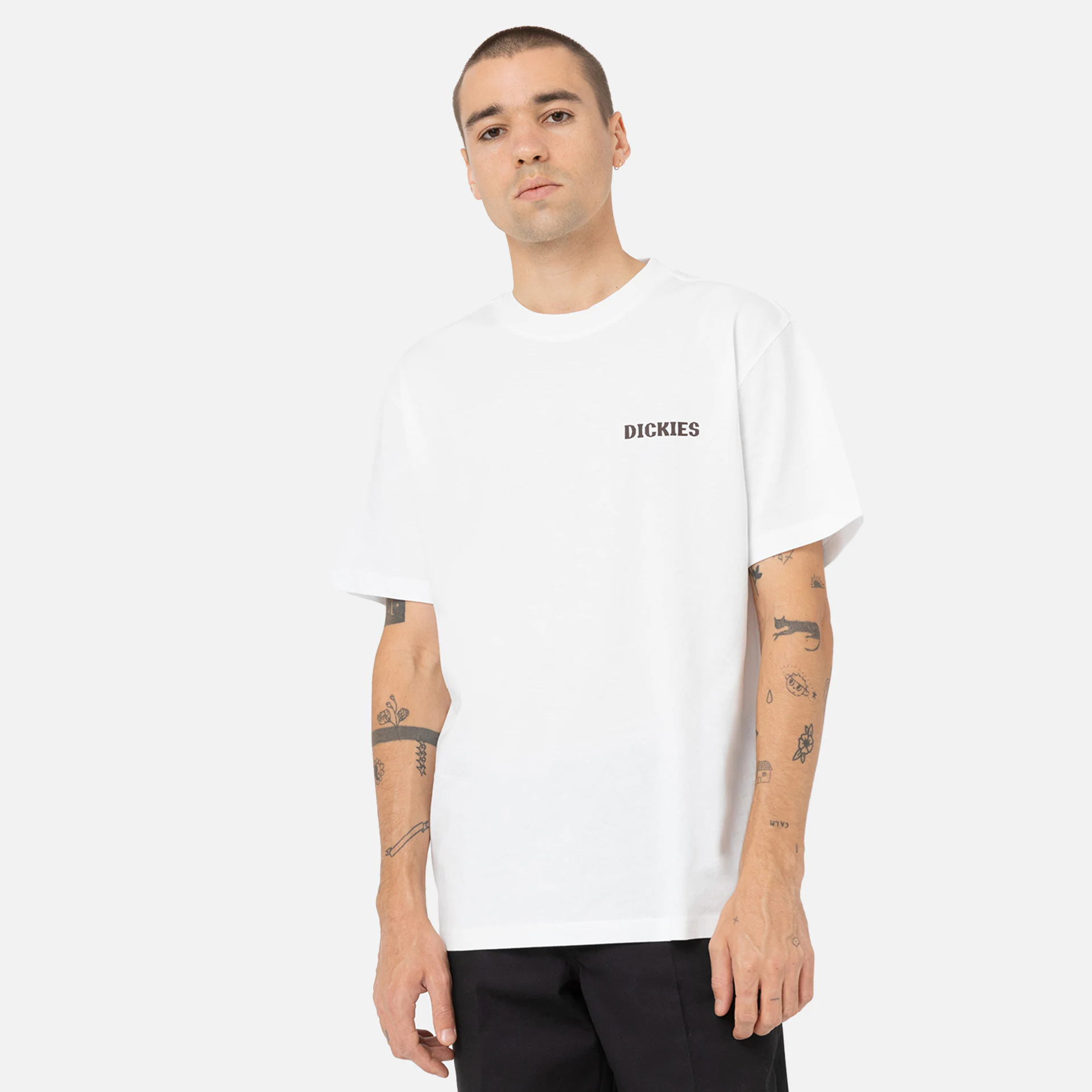 Dickies Hays T-Shirt White
