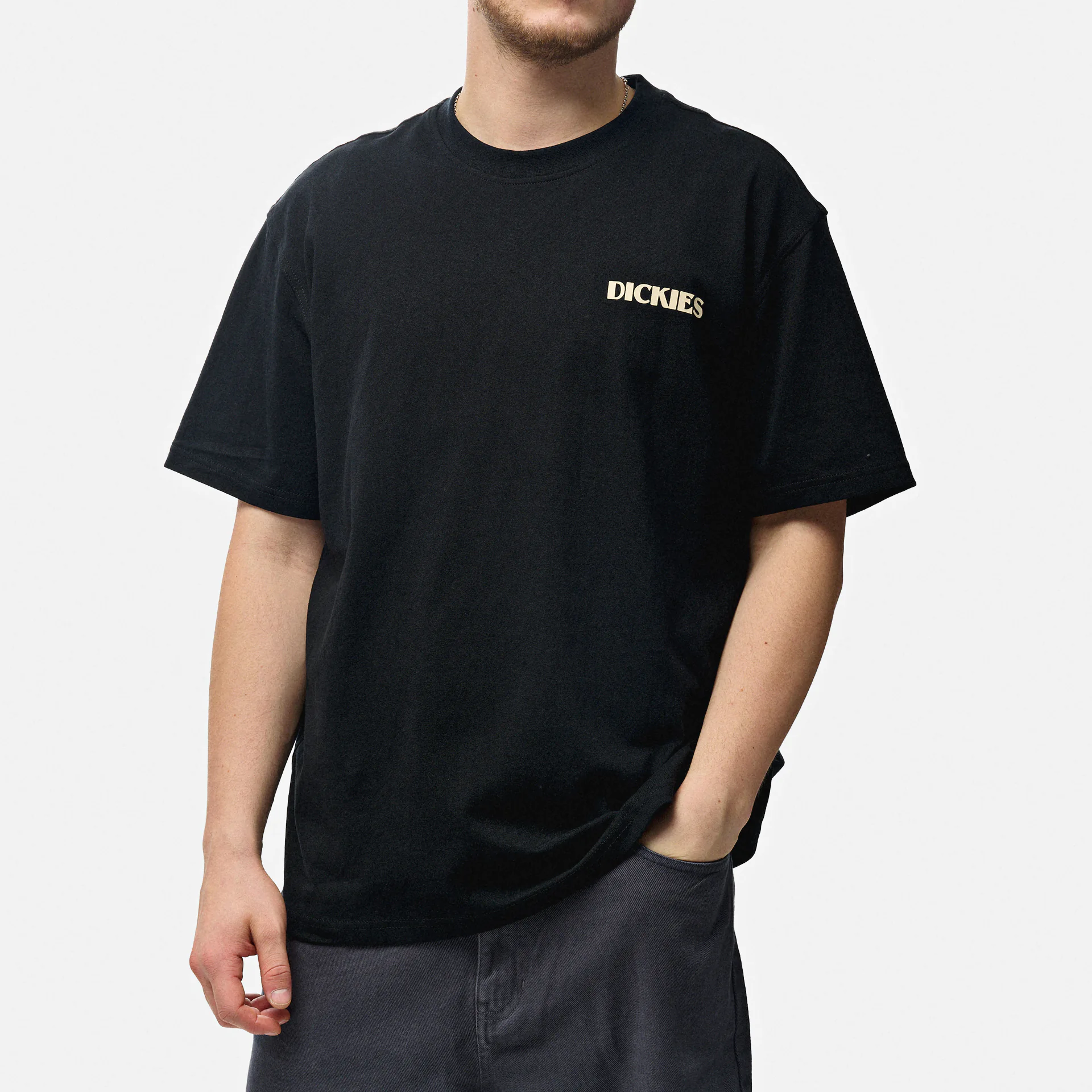 Dickies Herndon T-Shirt Black