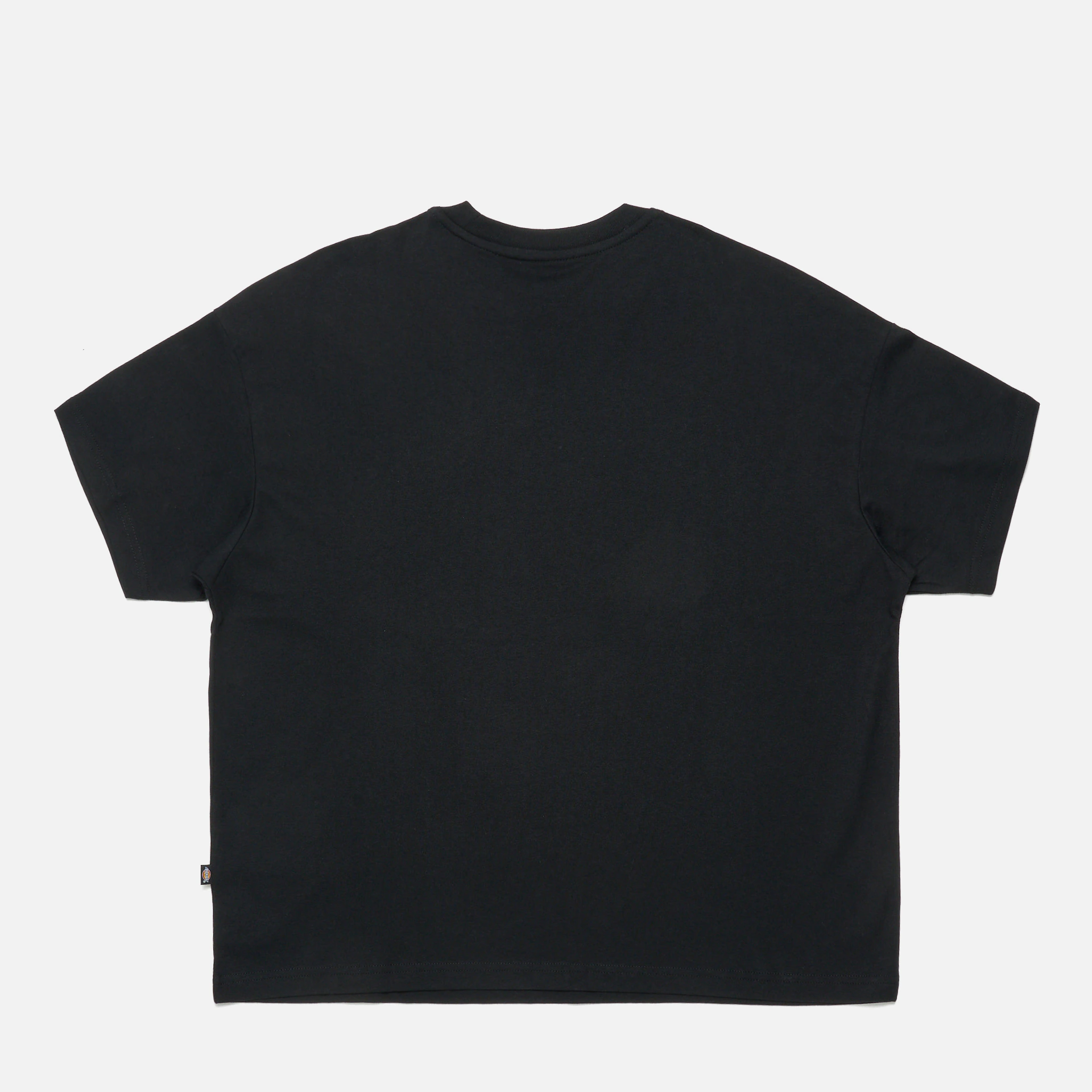 Dickies Summerdale Oversize T-Shirt Black 