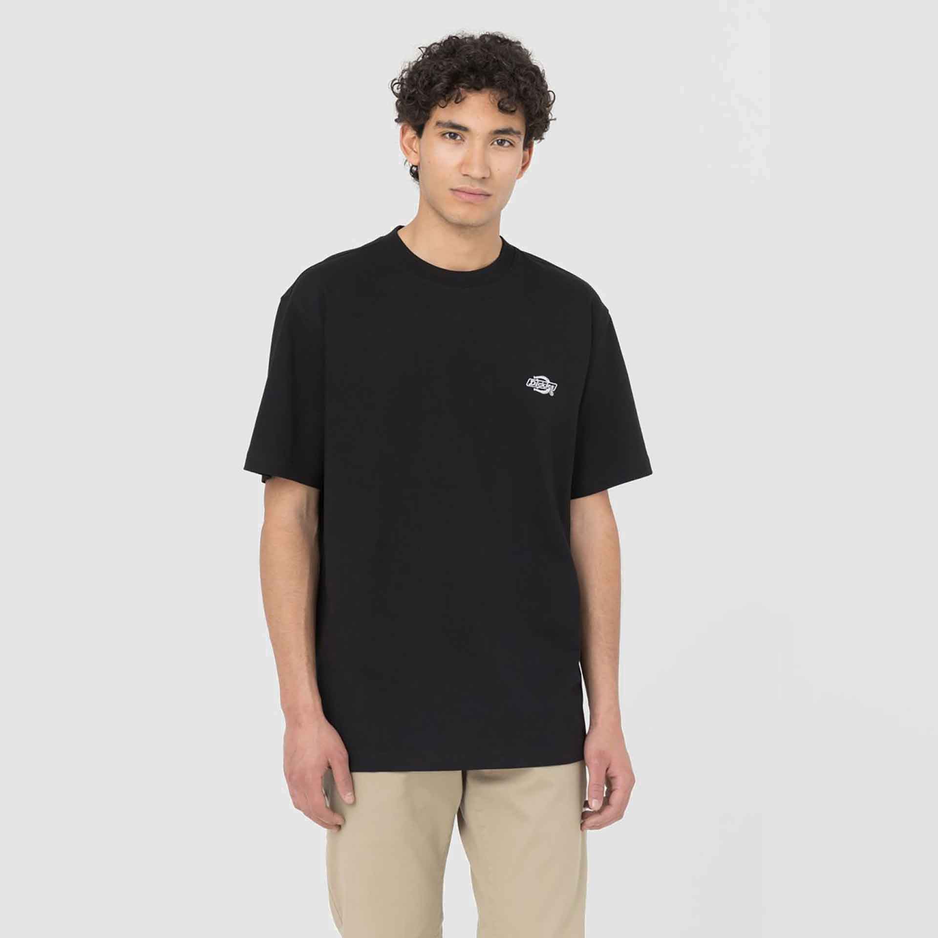 Dickies Summerdale T-Shirt Black