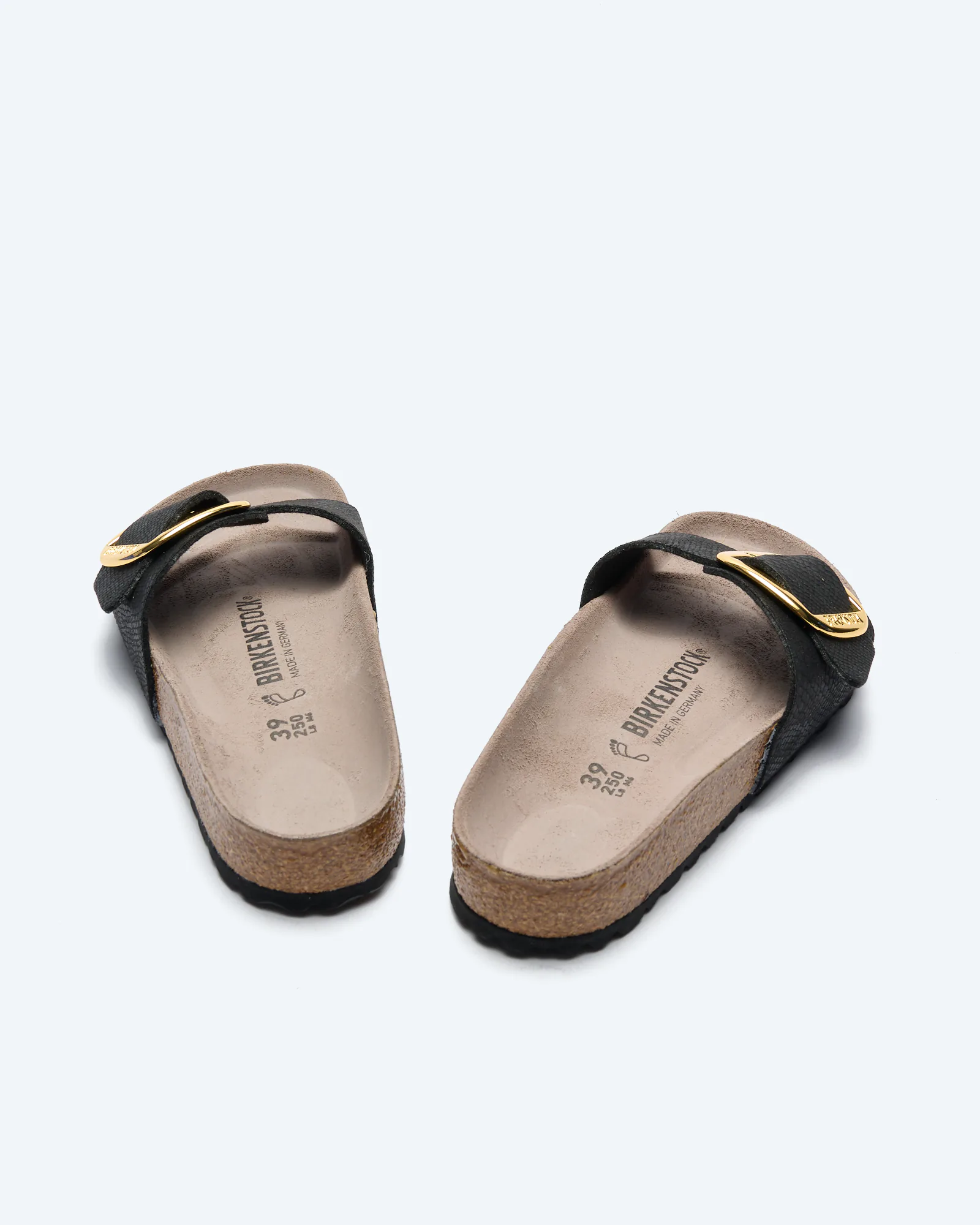 Madrid Big Buckle Synthetics Sandals SYN Python Black