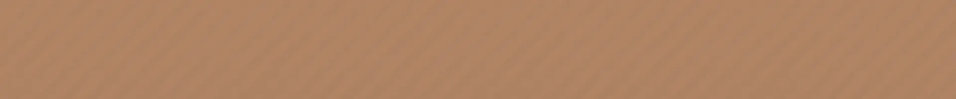 Newsletter Newsletter