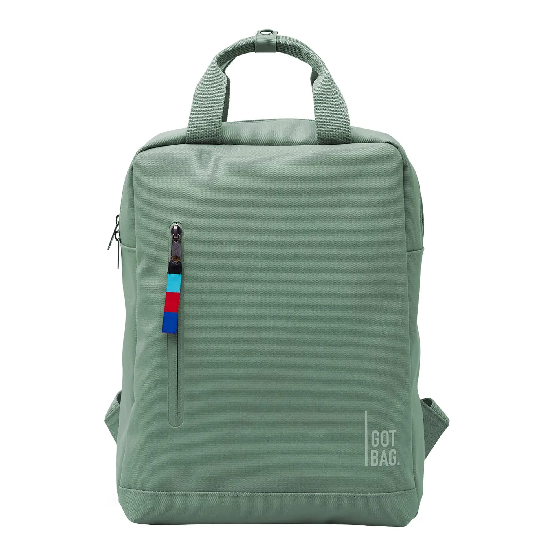 Got Bag Daypack Backpack Reef