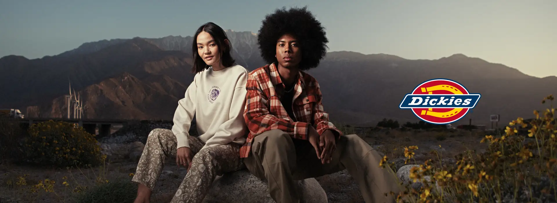 dickies