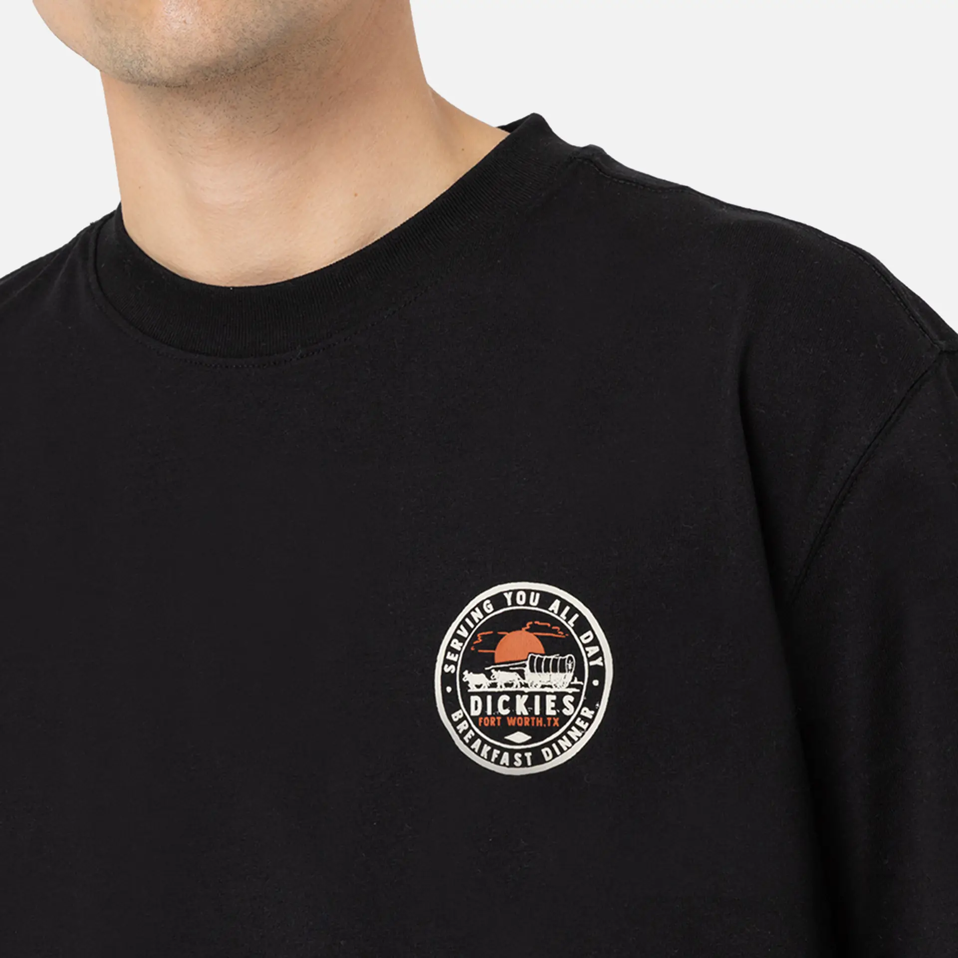 Dickies Greensburg T-Shirt Black