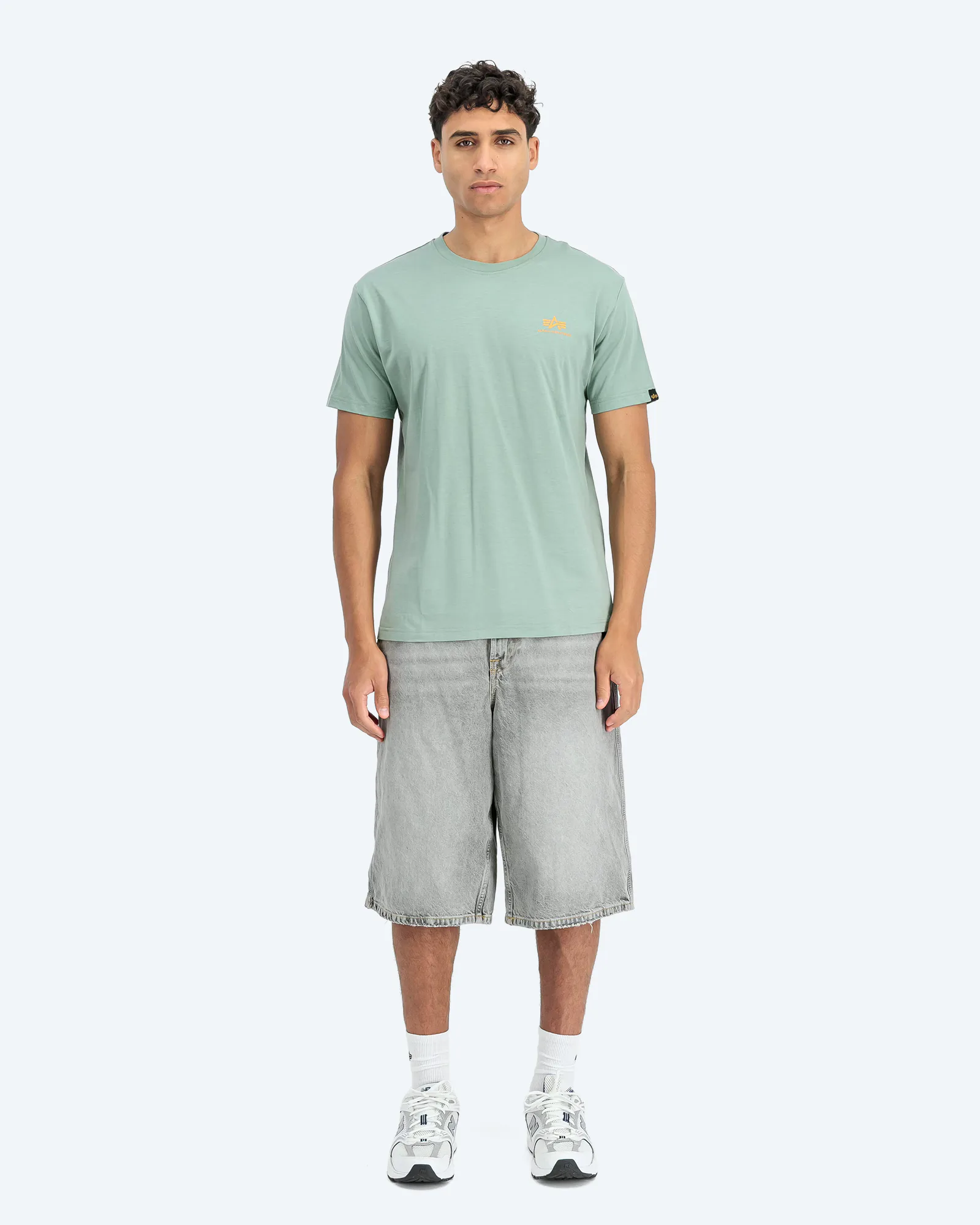 Alpha Industries Backprint T-Shirt Frost Green