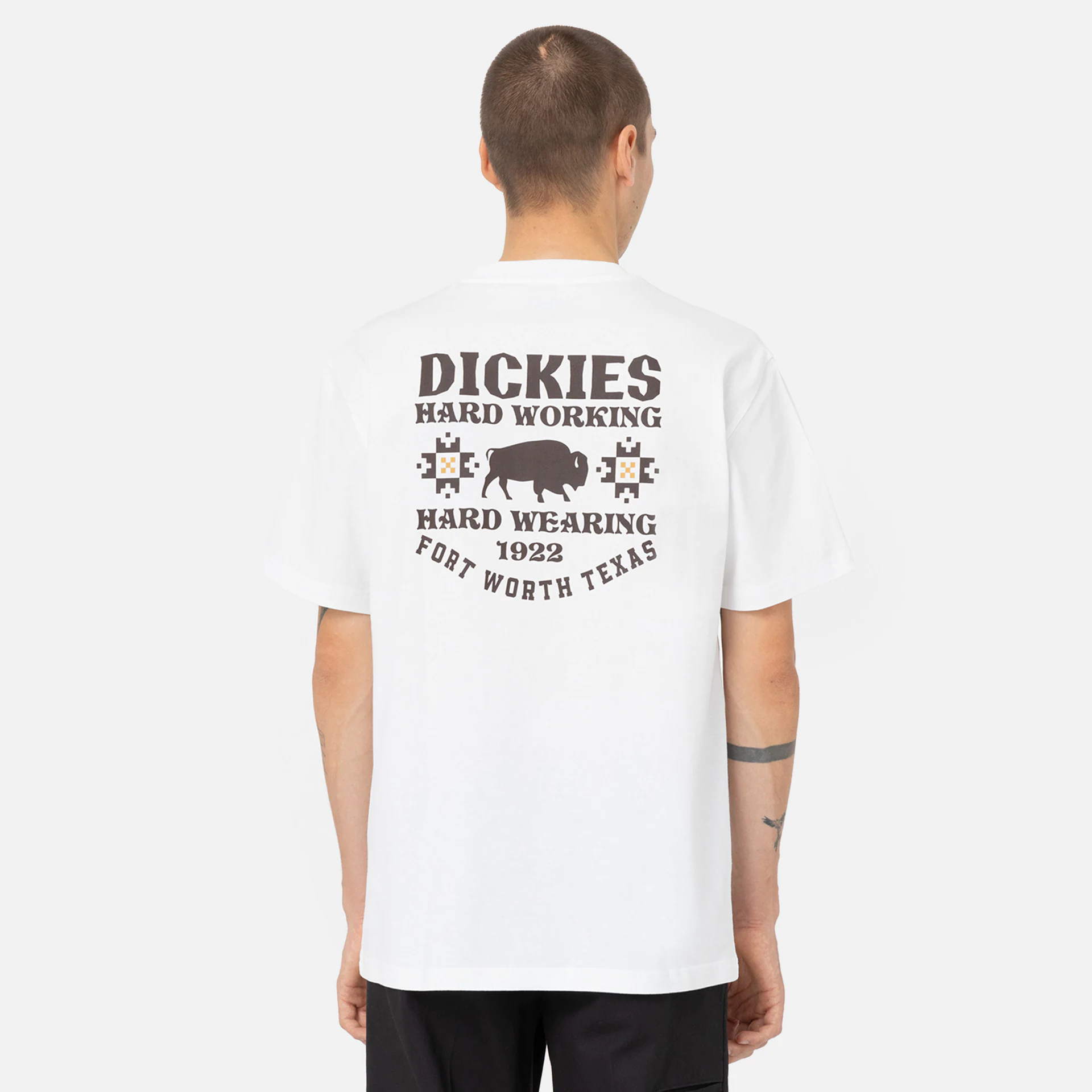Dickies Hays T-Shirt White