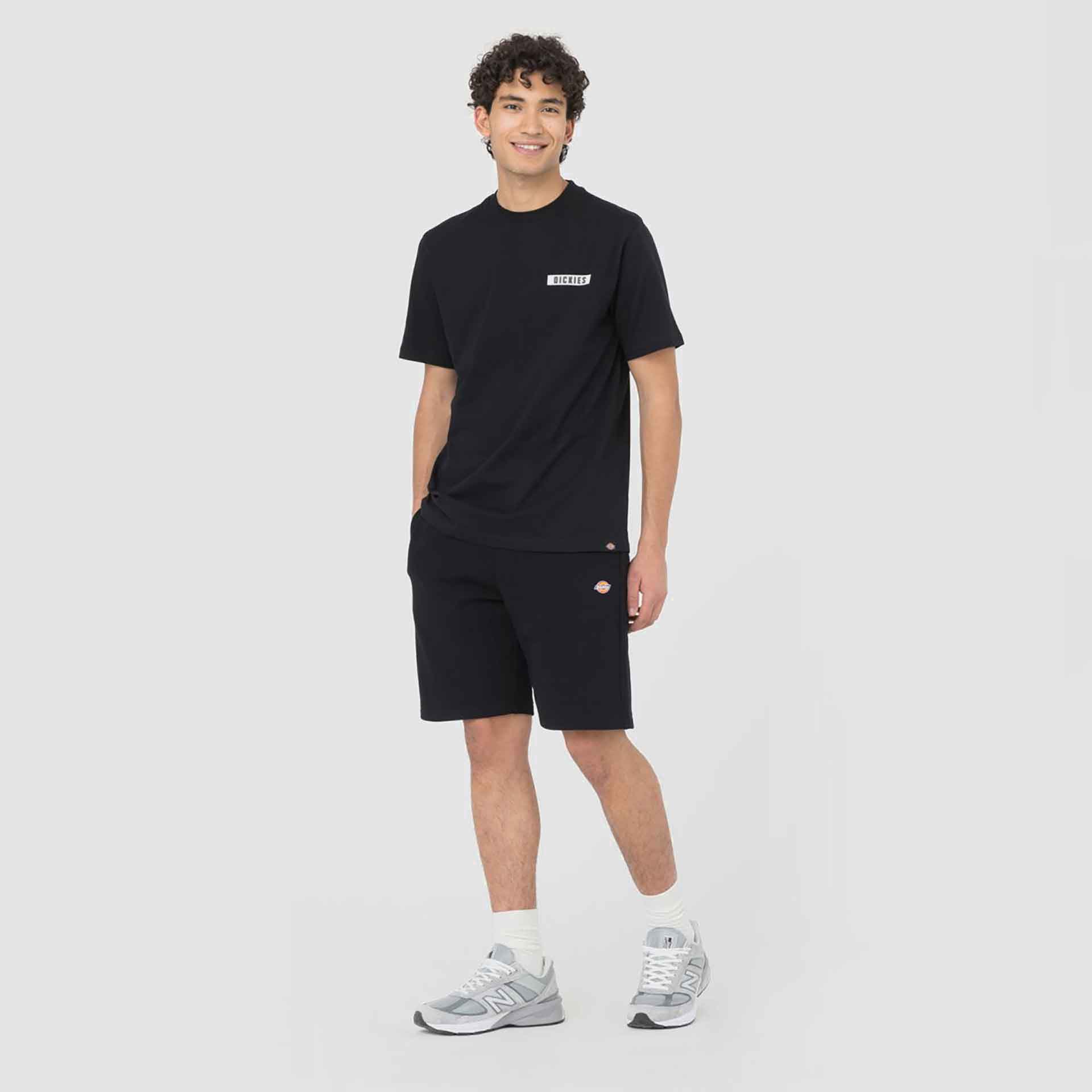 Dickies Mapleton Shorts Black