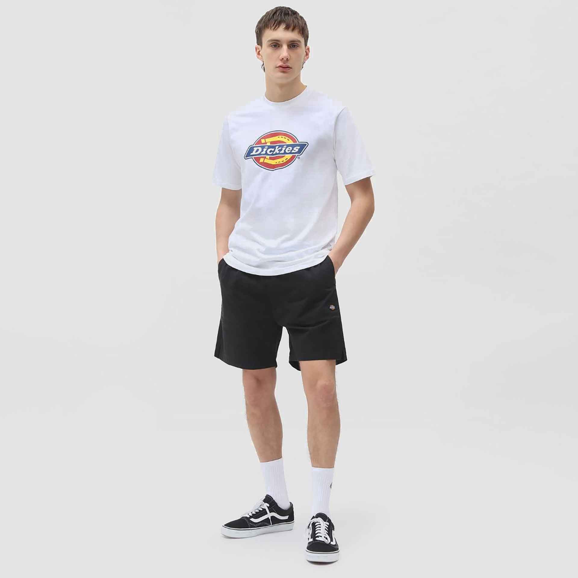 Dickies Pelican Rapids Shorts Black