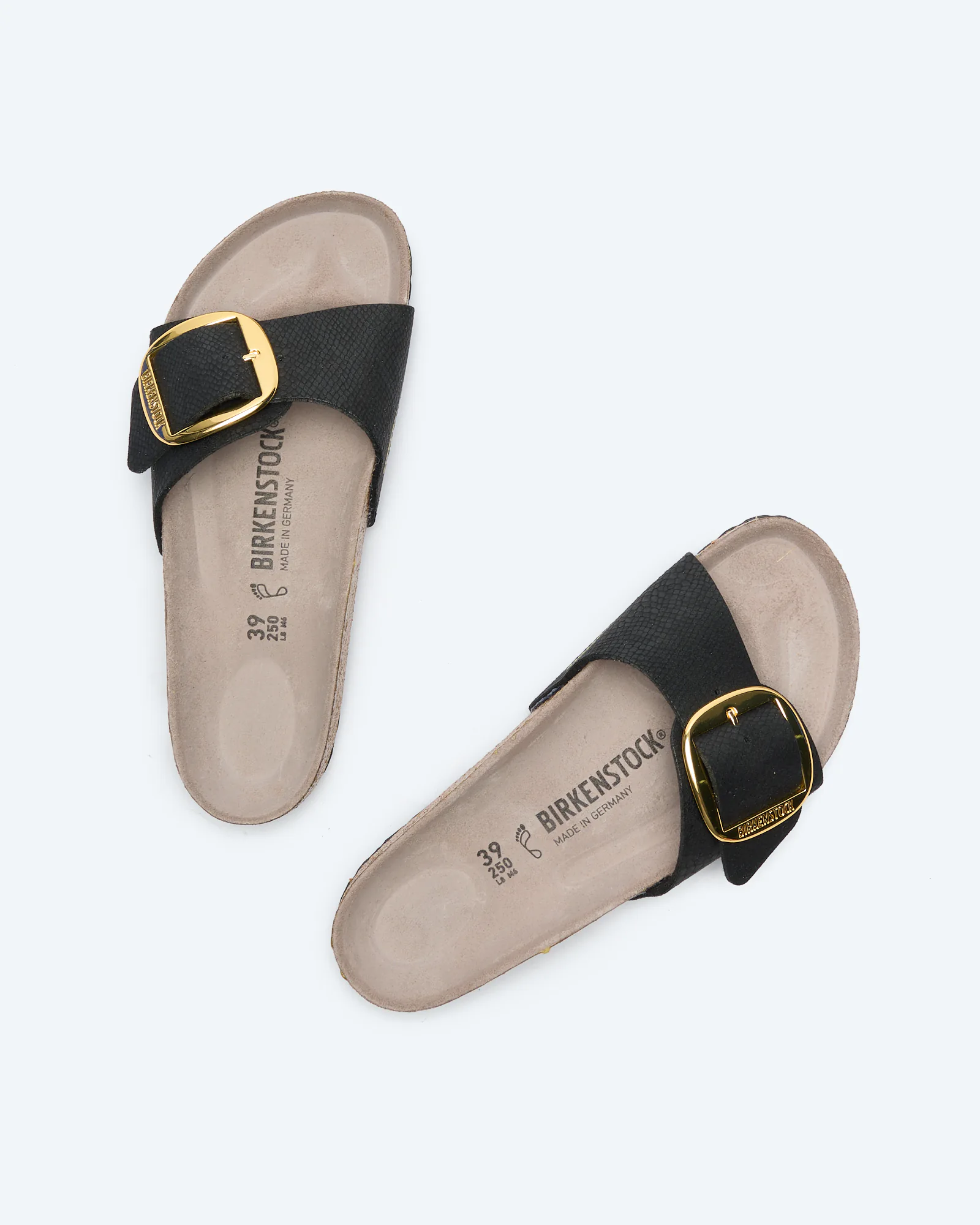 Madrid Big Buckle Synthetics Sandals SYN Python Black