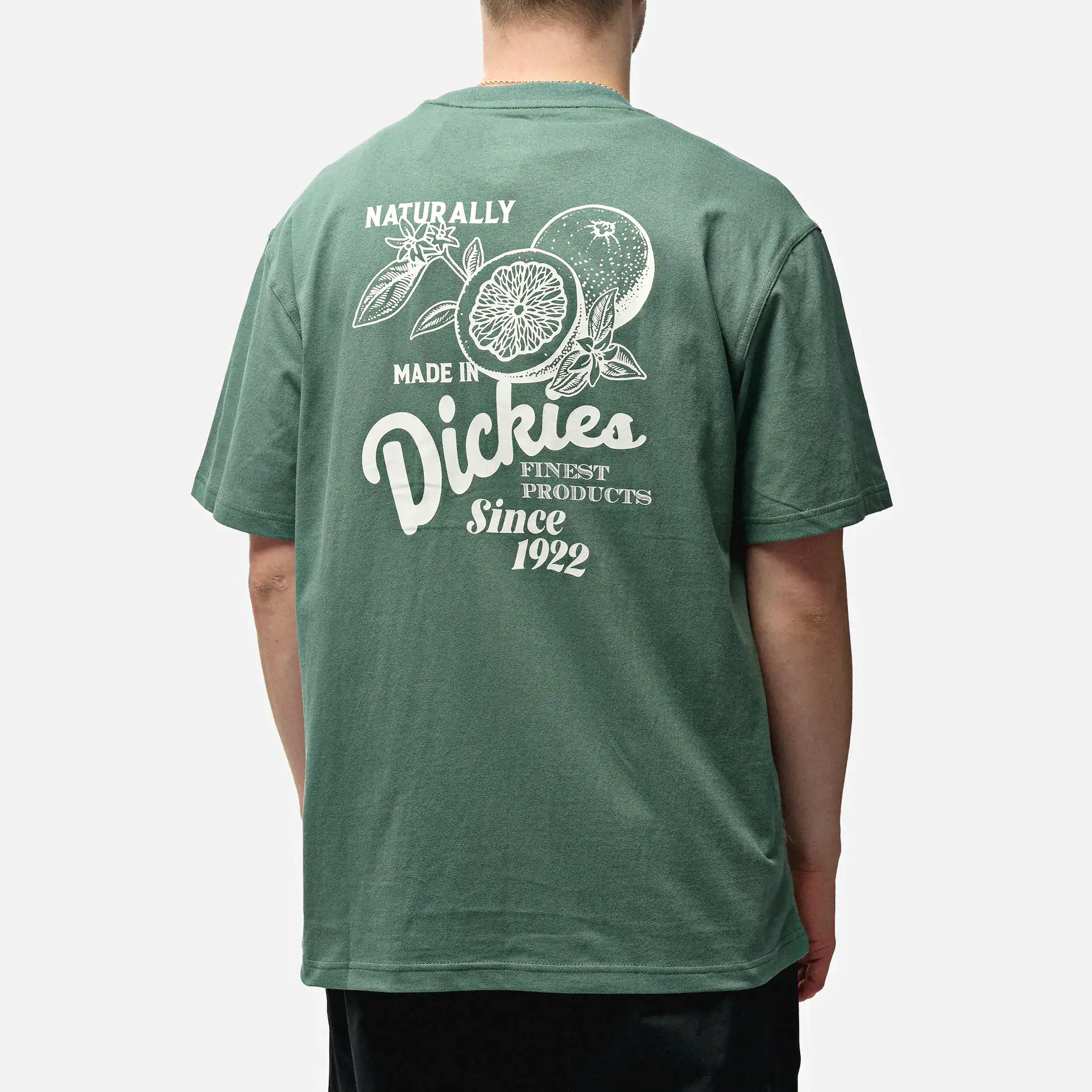 Dickies Raven T-Shirt Dark Forest