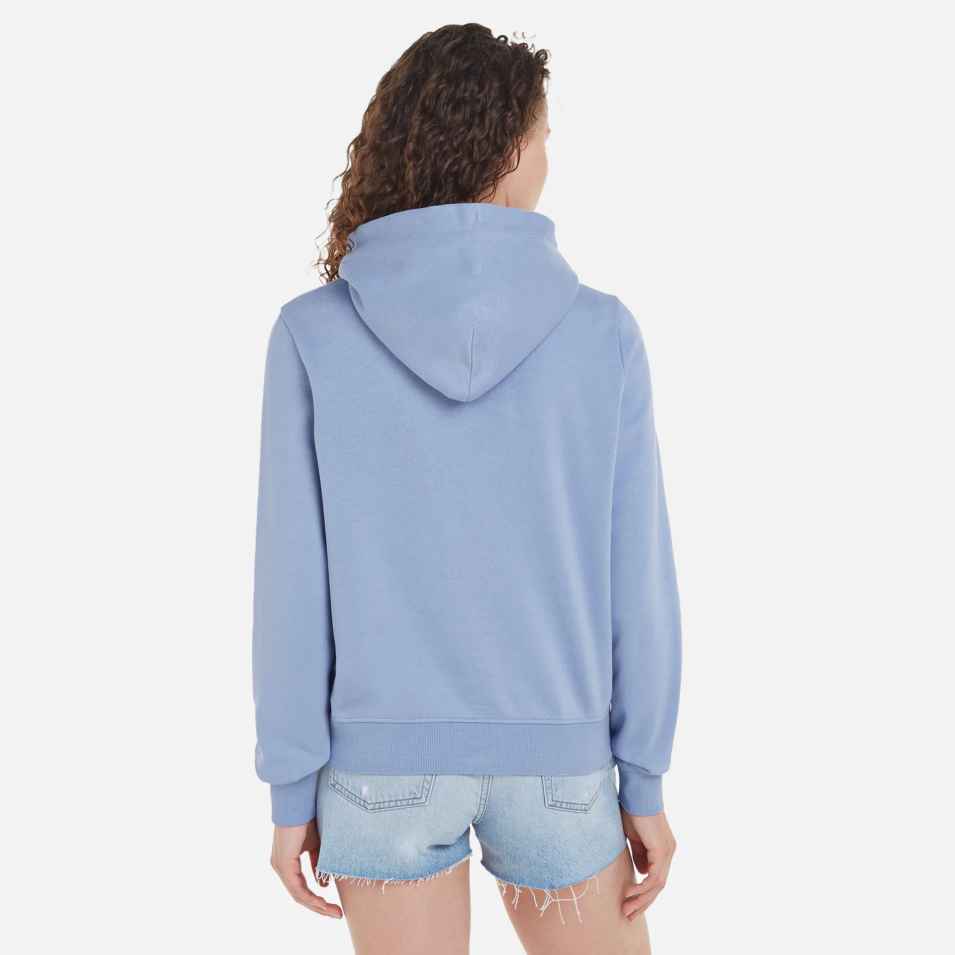 Tommy Jeans Linear Hoodie Blue