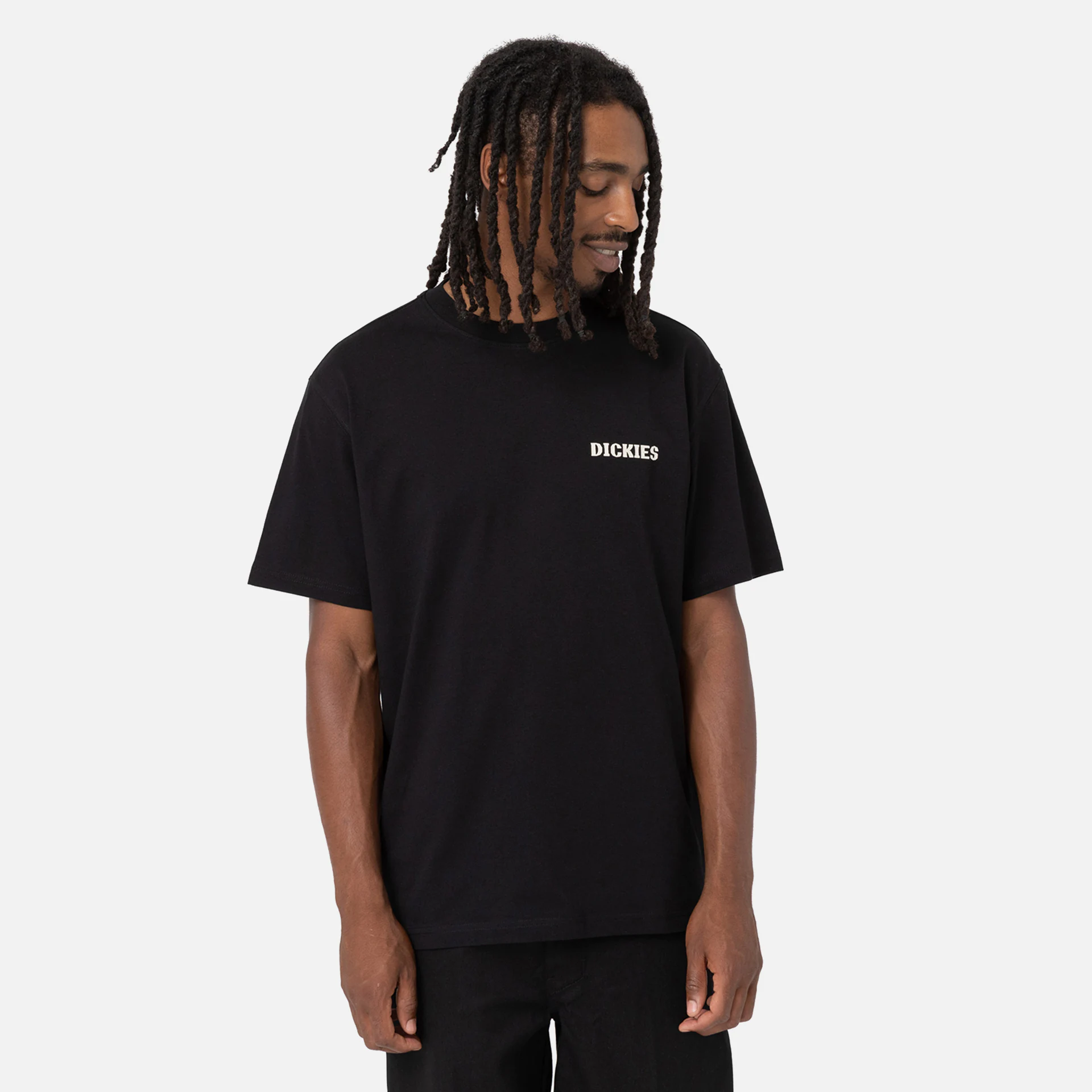 Dickies Hays T-Shirt Black