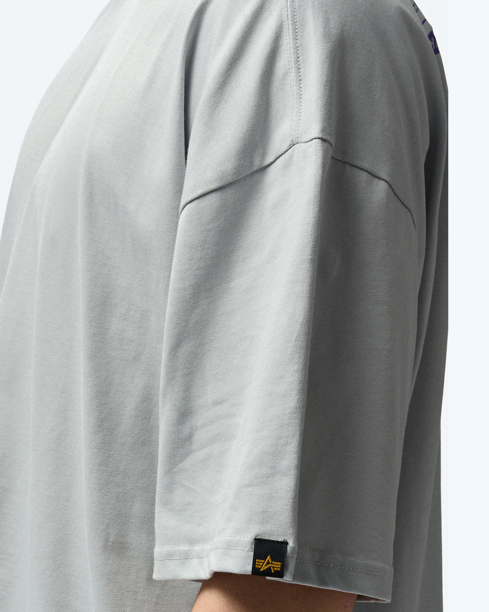 Alpha Industries Logo T-Shirt Pastel Grey