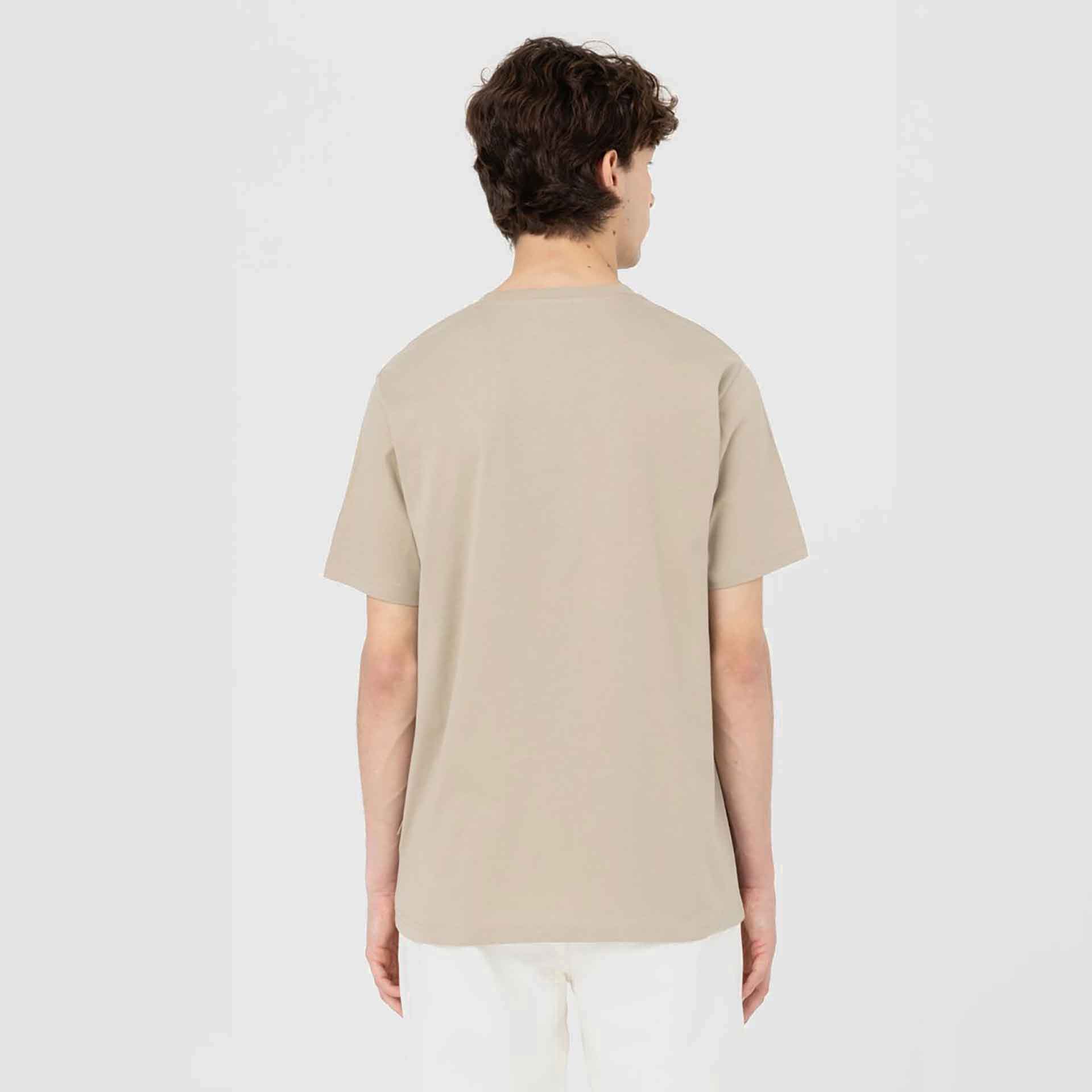 Dickies Mapleton T-Shirt Desert Sand