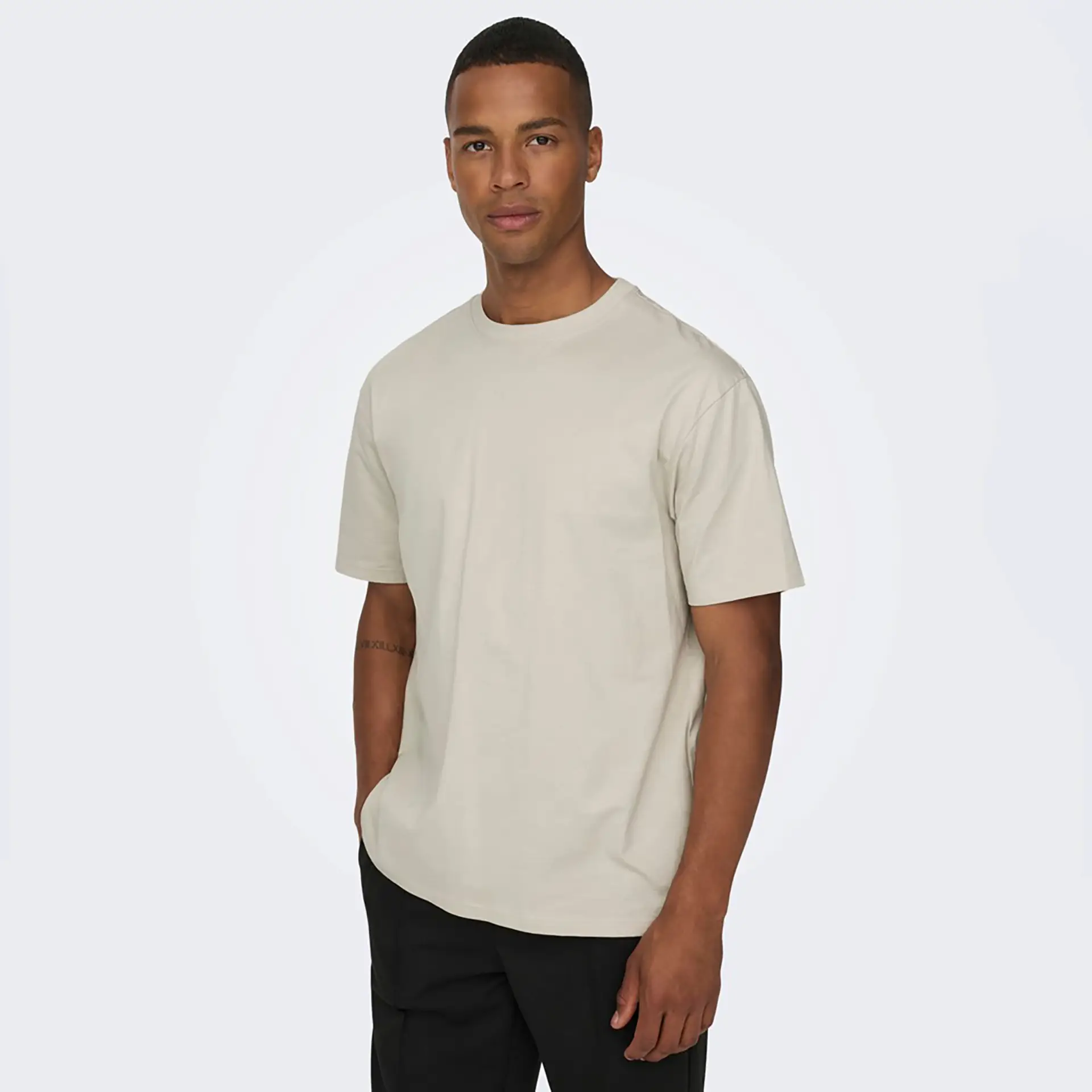 Only & Sons onsFred Relaxed Fit T-Shirt Silver Lining