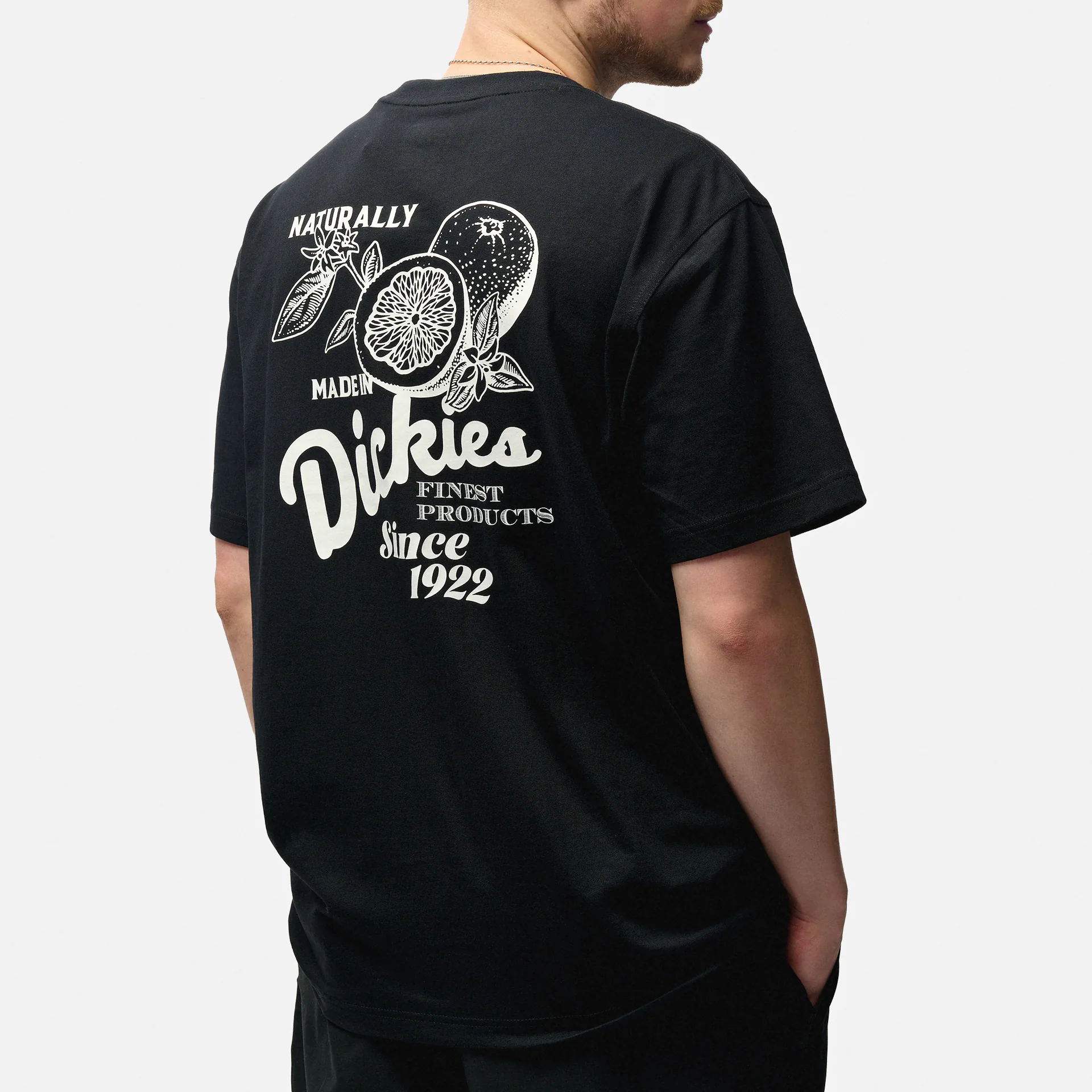 Dickies Raven T-Shirt Black