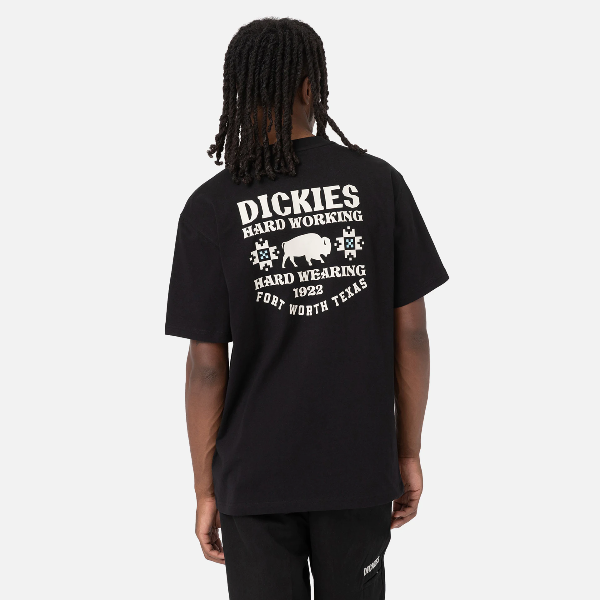 Dickies Hays T-Shirt Black