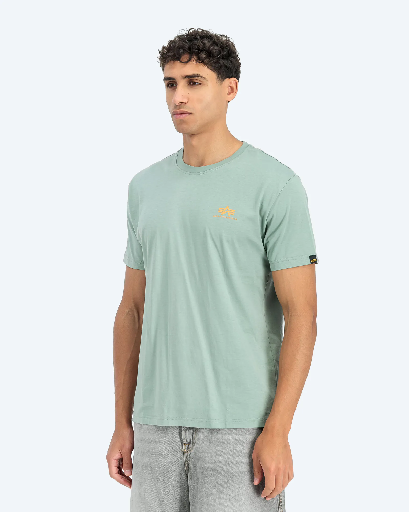 Alpha Industries Backprint T-Shirt Frost Green