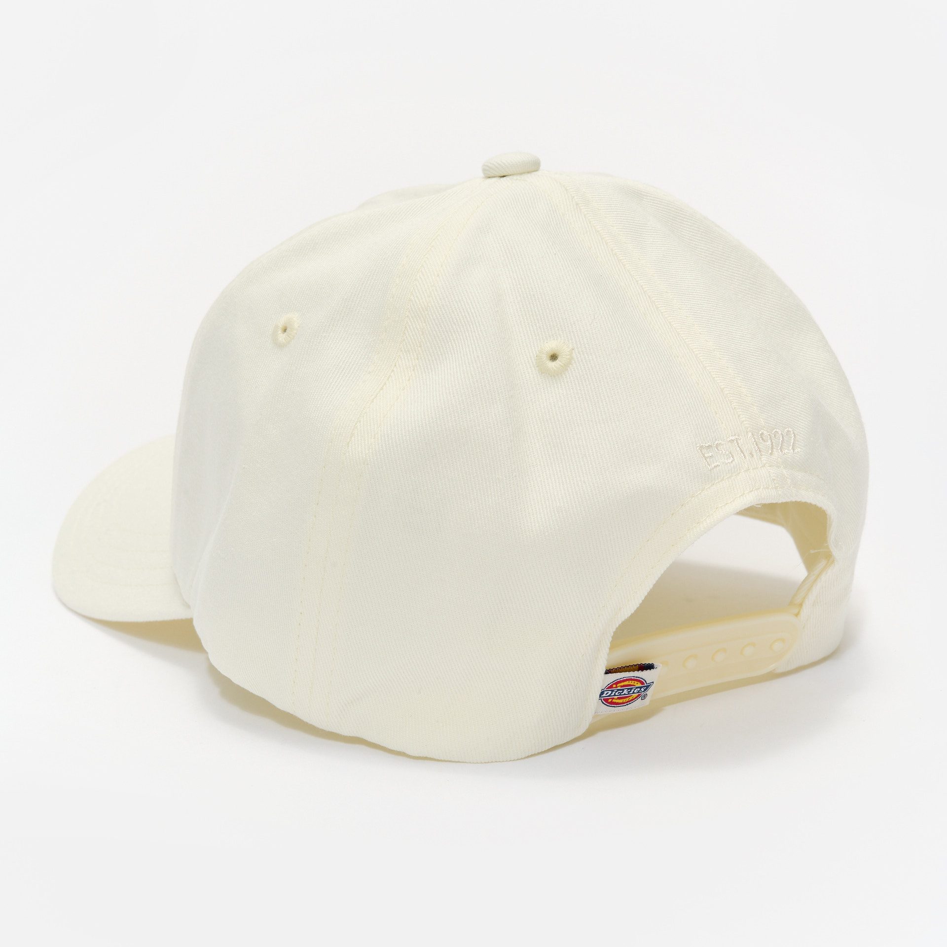 Dickies Hardwick Snapback Cap Cloud