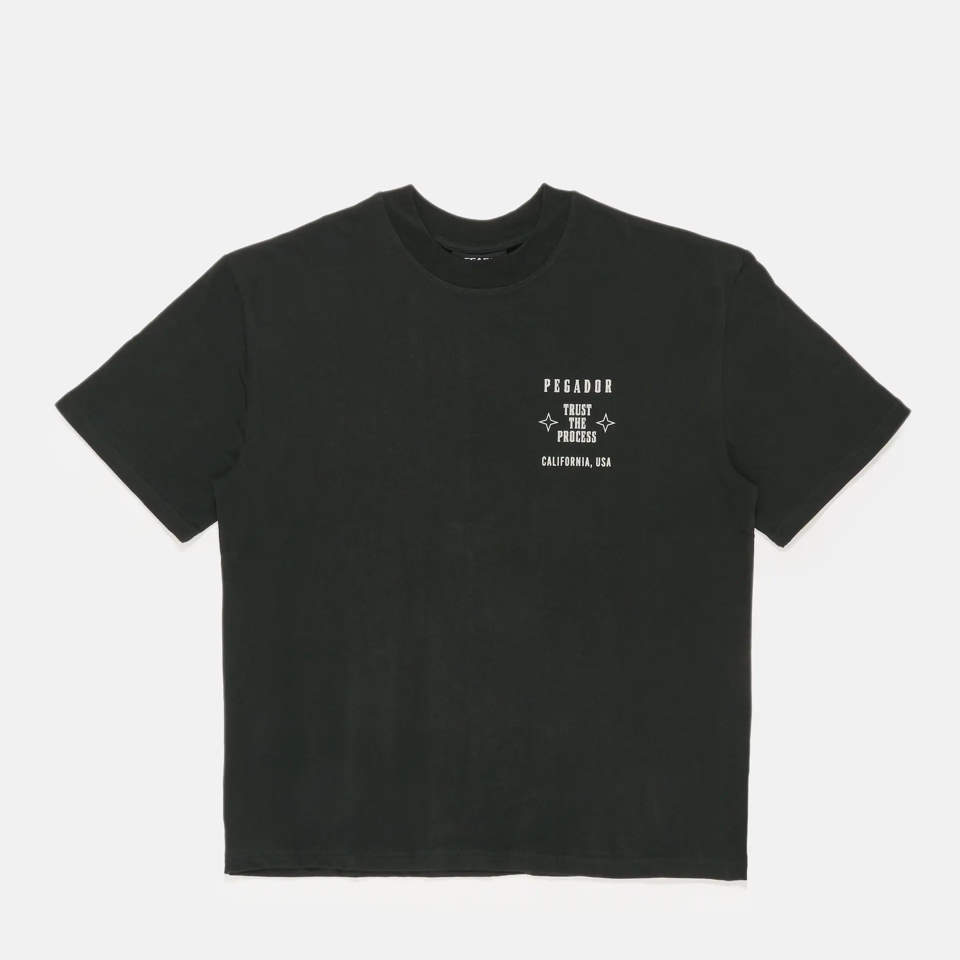 PEGADOR Salal Oversized T-Shirt Vintage Washed In Black