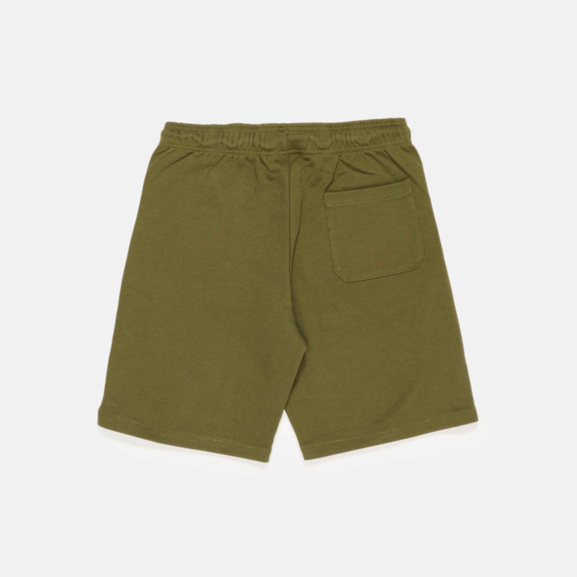 Dickies Mapleton Shorts Military Green
