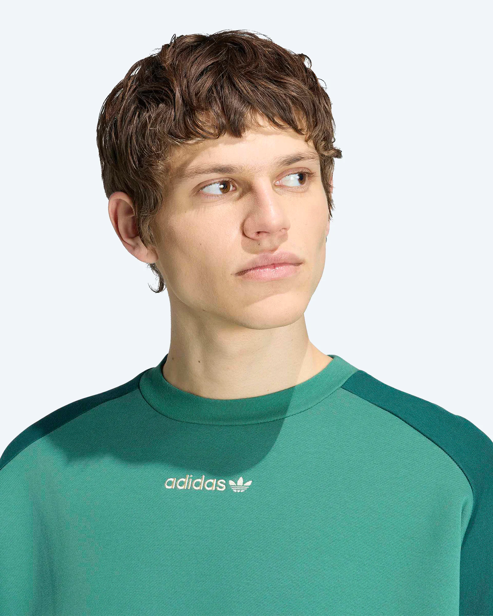 Cutline Crewneck Sweatshirt Collegiate Green